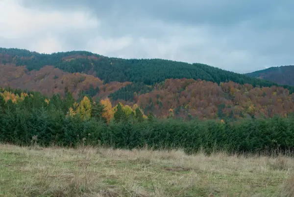 Berglandschaft Mit Wäldern Grünen Roten Orangen Und Gelben Farben Die — Stockfoto