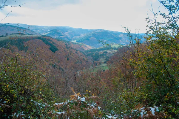 Paisaje Montaña Con Bosques Colores Verde Rojo Naranja Amarillo Que — Foto de Stock