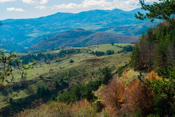 Krajobraz Górski Lasów Zielonych Czerwonych Pomarańczowych Żółtych Kolorów Które Kontrastują — Zdjęcie stockowe