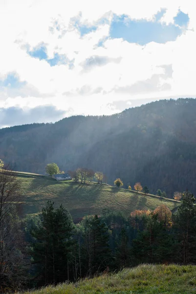 Paysage Montagne Avec Des Forêts Couleurs Vertes Rouges Orange Jaunes — Photo