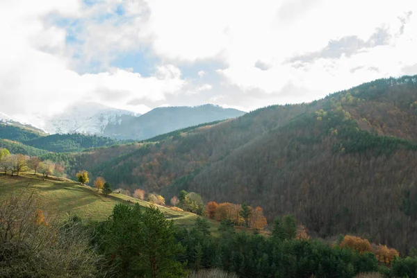 Berglandschaft Mit Wäldern Grünen Roten Orangen Und Gelben Farben Die — Stockfoto