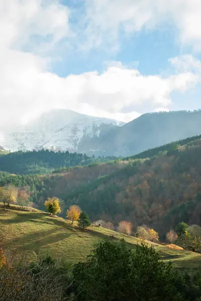 Yeşil, kırmızı, turuncu ve sarı renkli ormanlarla kaplı dağ manzarası manzaraya zıt düşüyor. Mavi ve gri gökyüzü ile doğanın güzel manzarası.