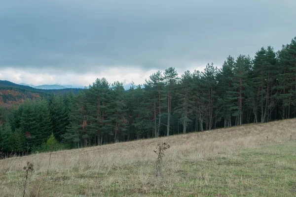 Yeşil, kırmızı, turuncu ve sarı renkli ormanlarla kaplı dağ manzarası manzaraya zıt düşüyor. Mavi ve gri gökyüzü ile doğanın güzel manzarası.