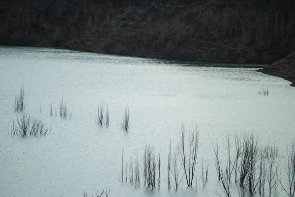 Kuru göl, ormanın durgun yeşil kısmını ve kurumuş, renksiz kısmını görebileceğiniz yer..