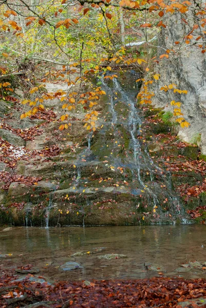 Pequeña Cascada Estanque Natural Con Hojas Rojas Que Contrastan Con —  Fotos de Stock