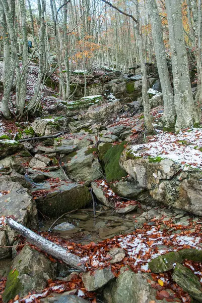 Agua Del Río Estancada Entre Piedras Cubierta Hojas Rojas Nieve —  Fotos de Stock