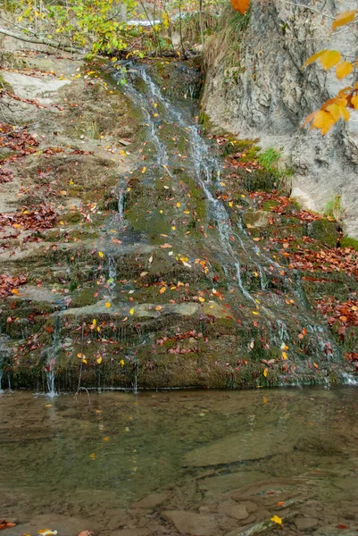 Pequeña Cascada Estanque Natural Con Hojas Rojas Que Contrastan Con — Foto de Stock