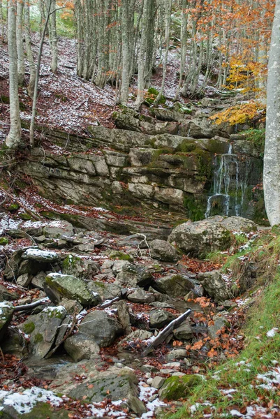 Pequeña Cascada Estanque Natural Con Hojas Rojas Que Contrastan Con —  Fotos de Stock