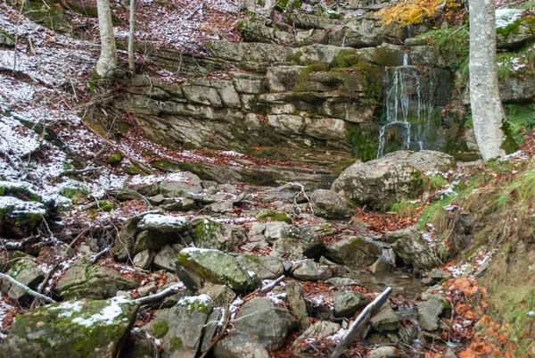 Pequeña Cascada Estanque Natural Con Hojas Rojas Que Contrastan Con —  Fotos de Stock