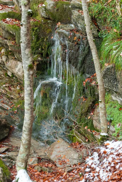 Pequeña Cascada Estanque Natural Con Hojas Rojas Que Contrastan Con —  Fotos de Stock