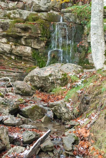 Kırmızı yapraklı küçük doğal gölet şelalesi karlı bir ormanın yeşiliyle çelişiyor..