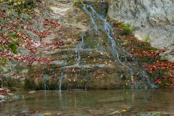 Yeşil ormanla çelişen kırmızı yapraklı küçük doğal gölet şelalesi..