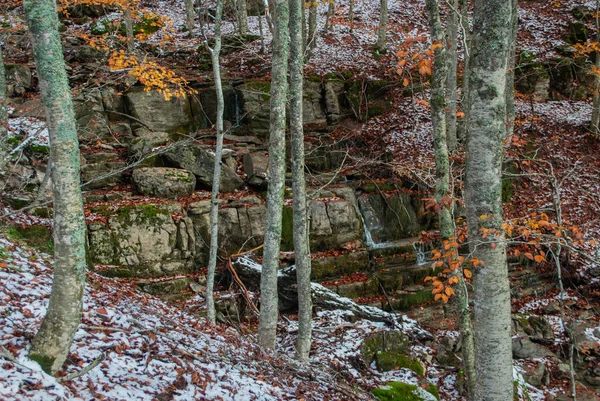 Pequeña Cascada Estanque Natural Con Hojas Rojas Que Contrastan Con —  Fotos de Stock