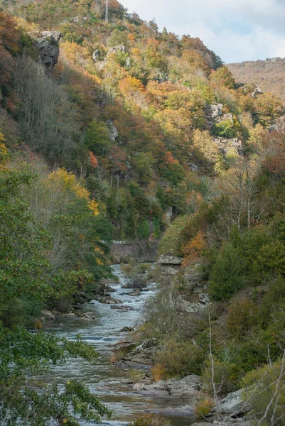 Górski Krajobraz Przepływającą Przez Niego Rzeką Kontrastującymi Drzewami Pomarańczowymi Zielonymi — Zdjęcie stockowe