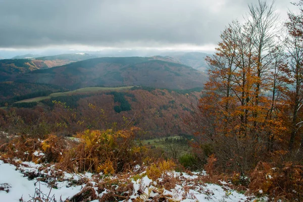 Snowy Forest Red Orange Yellow Green Colors Contrasting Autumn Tones — Stock Photo, Image