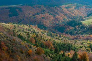 Sonbahar mevsiminin ortasında, turuncu, yeşil, kırmızı ve sarı renklerle kaplanmış orman manzaraları.
