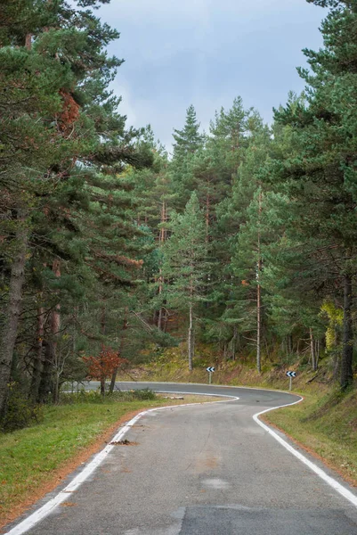 Droga Przez Wysokie Góry Lasami Kontrastujące Czerwone Zielone Kolory Jesieni — Zdjęcie stockowe