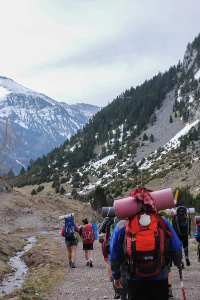 Dağlarda yürüyen dağcılar kayaların, çimenlerin ve karların arasında.