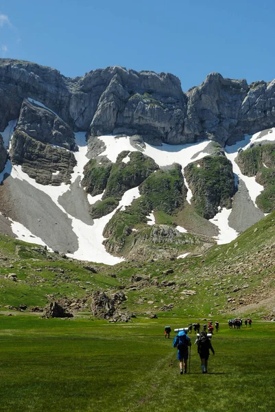 Dağlarda yürüyen dağcılar kayaların, çimenlerin ve karların arasında.