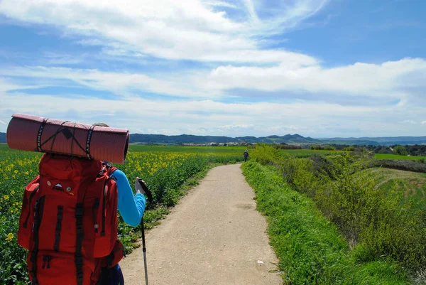 Camino de Santiago 'daki yürüyüşçüler güzel manzaraların geniş bir rotasında ilerliyorlar..