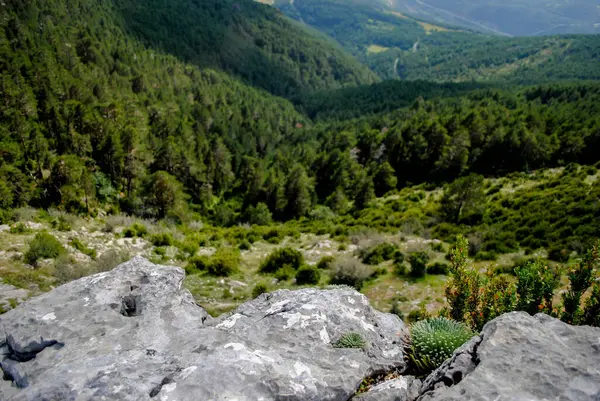 Uçurumdan yeşil bir vadiye yakın kayalar.