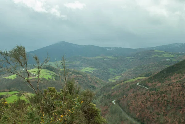 Ormanlar, yollar ve bulutlu gökyüzü olan dağ manzarası