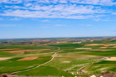 Açık mavi gökyüzü olan tarımsal tarlalar.
