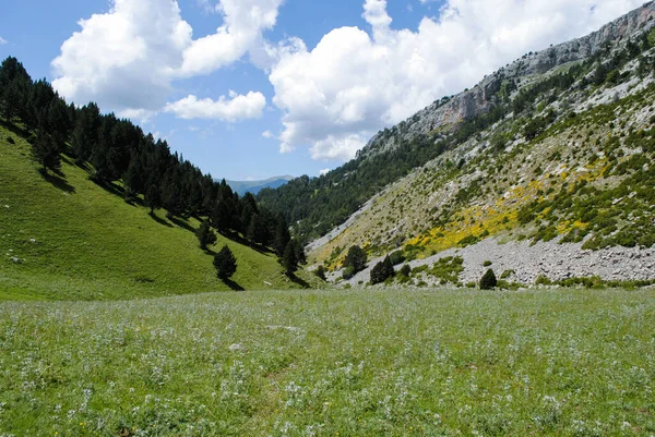 Dağlarla çevrili yeşil vadi ve bulutlu açık mavi bir gökyüzü.