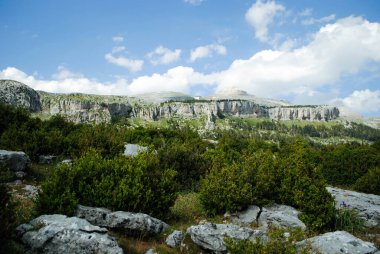 Önünde açık gökyüzü ve bitkiler olan güzel dağ vadisi manzarası