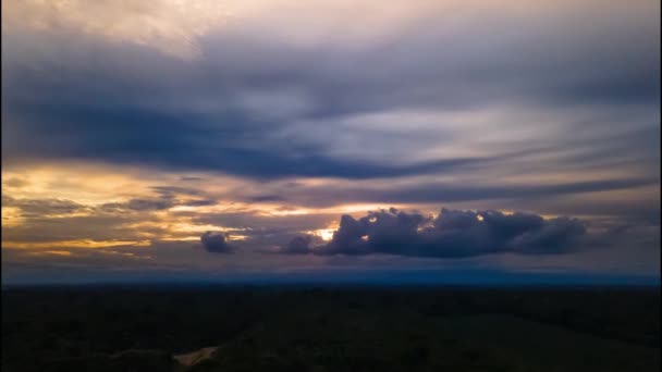 Vue Sur Coucher Soleil Sur Amazone Avec Forêt Tropicale Equateur — Video