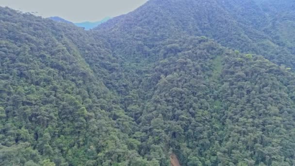 Vista Aérea Del Río Selva Tropical América Latina Drone — Vídeo de stock