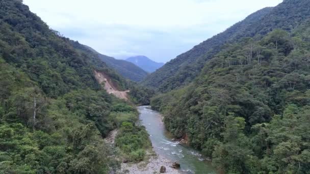 Aerial View River Rainforest Latin Amerika Drón — Stock videók