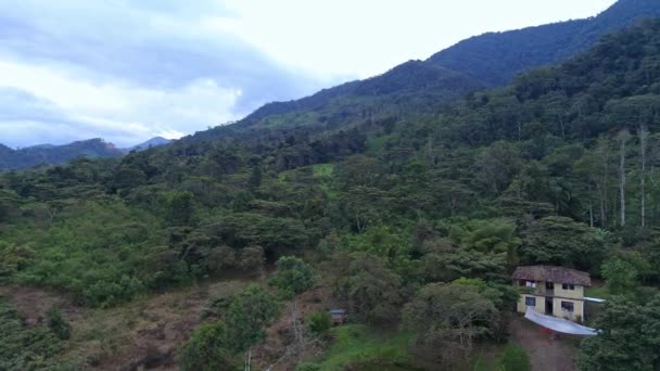 Flygfoto Över Floden Rainforest Latinamerika Drönare — Stockvideo
