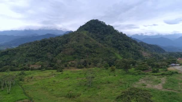 Авиационный Вид Реку Тропическом Лесу Беспилотник Латинской Америки — стоковое видео