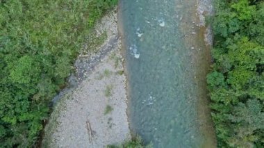 Yağmur Ormanı 'ndaki Nehrin Hava Görüntüsü, Latin Amerika İHA' sı