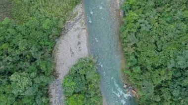 Yağmur Ormanı 'ndaki Nehrin Hava Görüntüsü, Latin Amerika İHA' sı