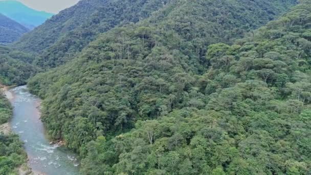 热带雨林河流空中景观 拉丁美洲无人驾驶飞机 — 图库视频影像