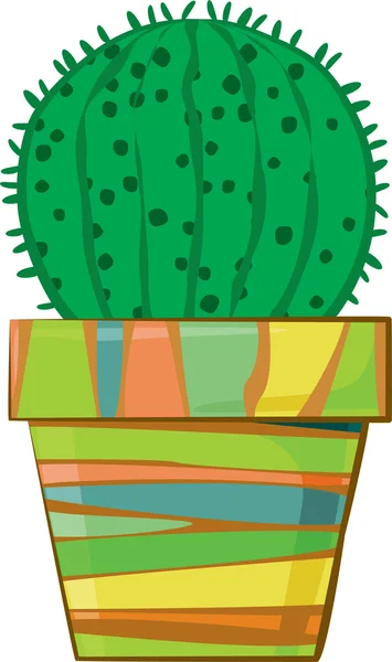 Cactus dans un pot de fleurs — Image vectorielle