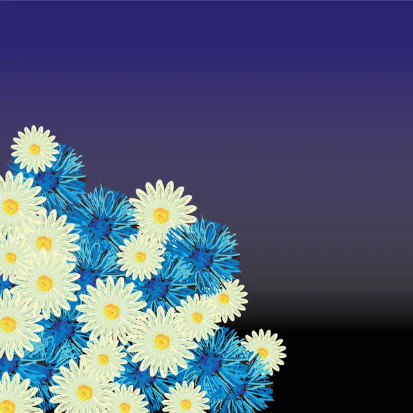 Chamomiles et bleuets fond — Image vectorielle