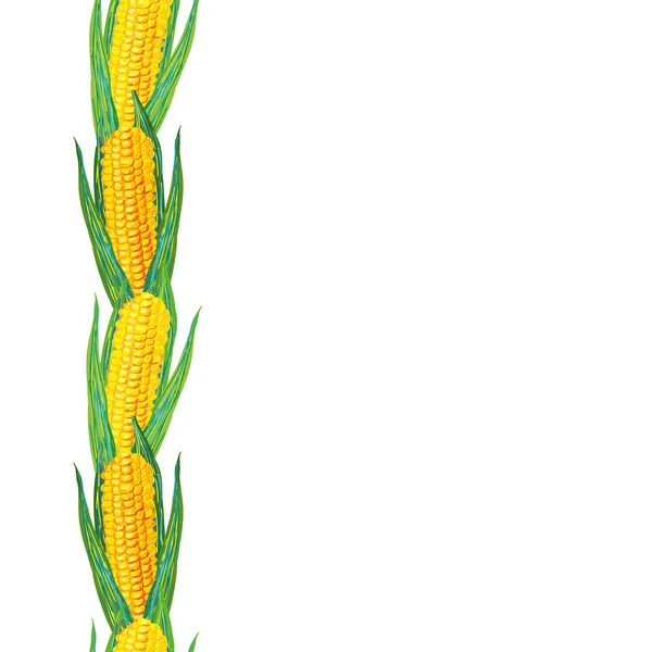 Corn border — Stock Vector