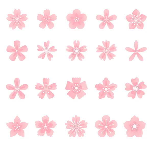 Flores Cor Rosa Sakura Flores Coleção Símbolo Ícone Sinal Ilustração —  Vetores de Stock