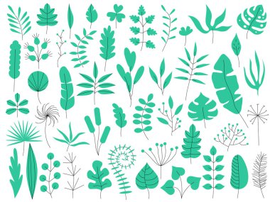 Hand drawn plants, organic shapes, plants. Vector set of minimal trendy abstract hand drawn isolated elements for graphic design. Organic natural shapes, leaves. Modern art collection