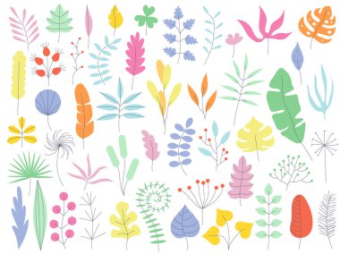 El yapımı bitkiler, organik şekiller, bitkiler. Grafik tasarımı için izole edilmiş asgari modaya uygun el çizimi vektör kümesi. Organik doğal şekiller, yapraklar. Modern sanat koleksiyonu