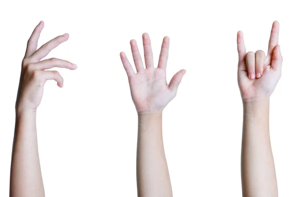 Satz Frauenhände Isoliert Auf Weißem Hintergrund — Stockfoto