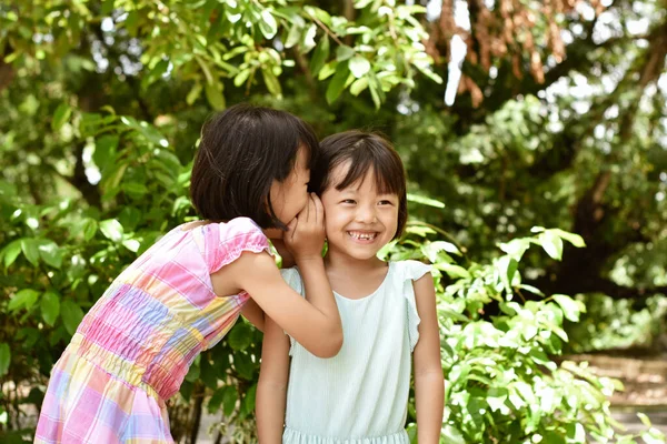 Close Duas Meninas Irmãzinhas Sussurrar Ouvido Parque Livre Conceito Amizade — Fotografia de Stock