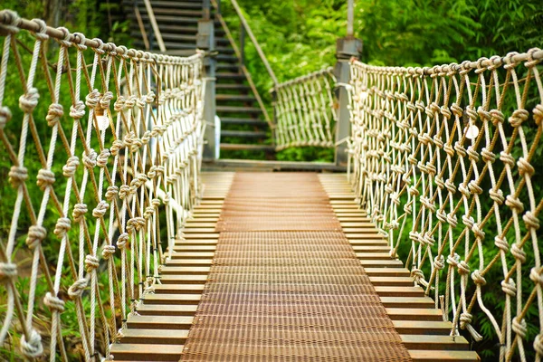 Ponte Sospeso Legno Una Passerella Mezzo Alla Foresta — Foto Stock