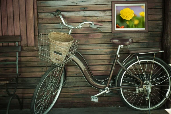 조경을 자전거의 — 스톡 사진