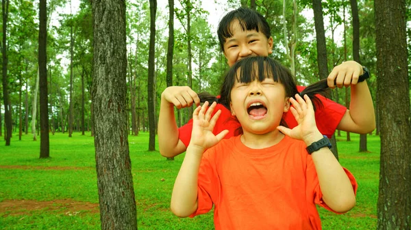 Imagen Fondo Niñas Felices Jugando Relajarse Parque Vacaciones — Foto de Stock