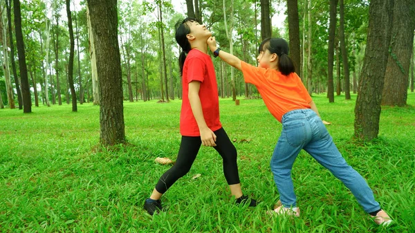 Dvě Asijské Dívky Sourozenci Hrát Parku — Stock fotografie