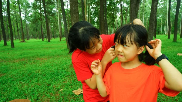 2人のアジアの姉妹が公園で遊んでいます — ストック写真